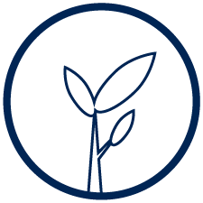 Environment Icon