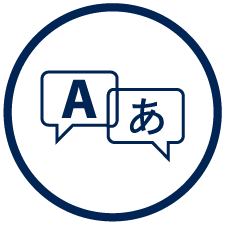 Translation Icon