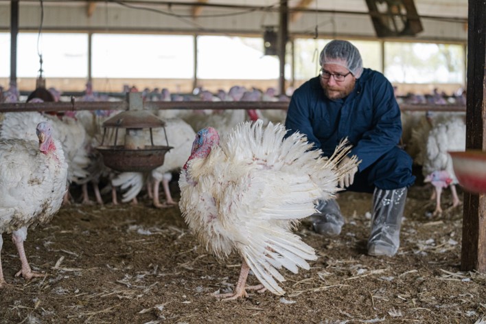 Turkey and Animal Welfare Specialist